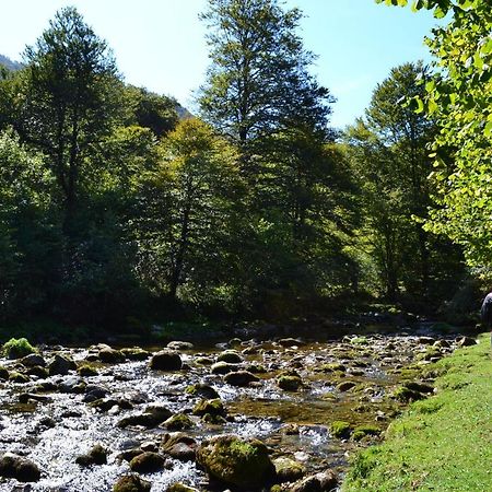Gites Communaux A Lourdios Kültér fotó