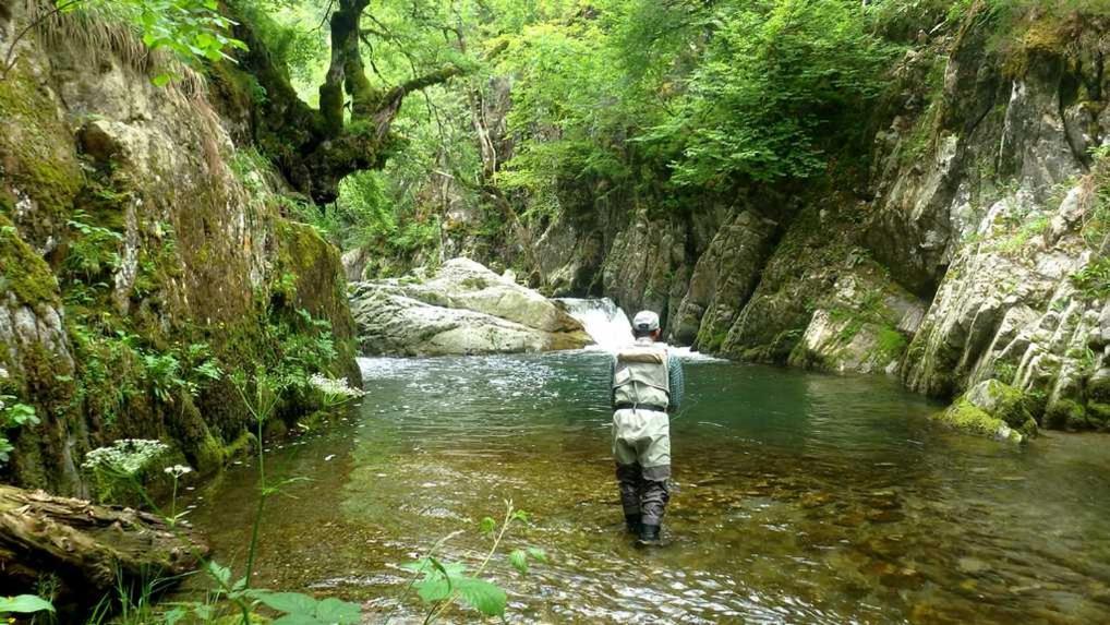 Gites Communaux A Lourdios Kültér fotó