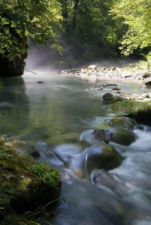 Gites Communaux A Lourdios Kültér fotó
