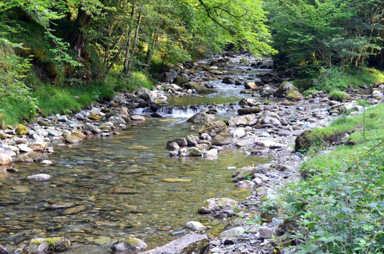 Gites Communaux A Lourdios Kültér fotó