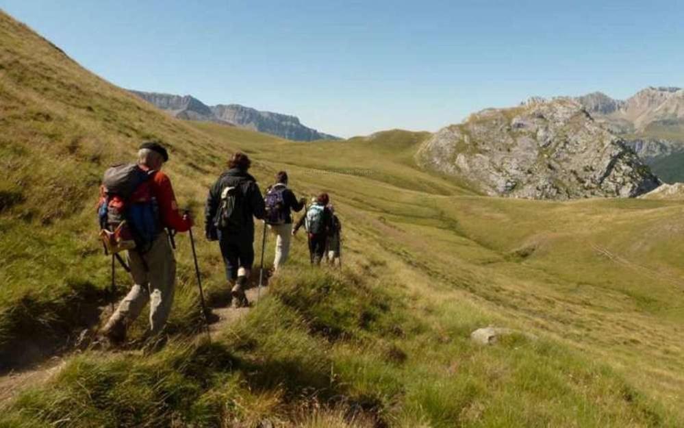 Gites Communaux A Lourdios Kültér fotó